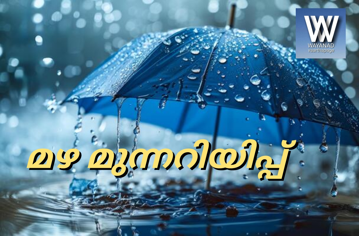 ചക്രവാതച്ചുഴി; കേരളത്തിൽ ഇനിയുള്ള അഞ്ചു ദിവസം മഴ തകർക്കും; പതിനൊന്ന് ജില്ലകളിൽ യെല്ലോ അലേർട്ട്