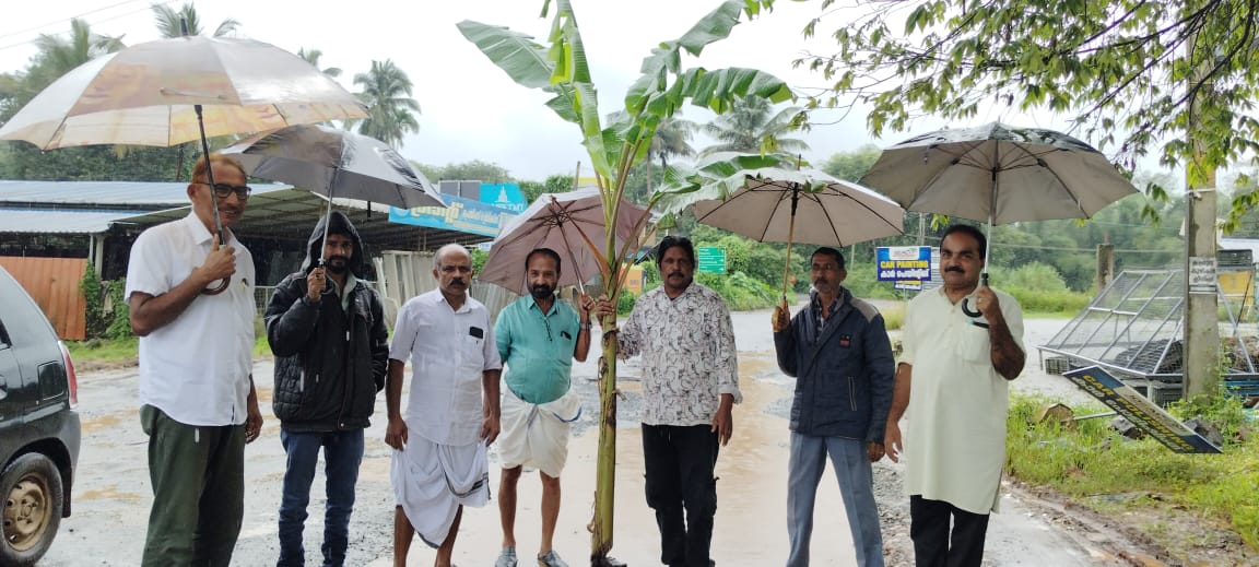 പനമരം – നടവയൽ റോഡിൽ പൗരസമിതിയുടെ വാഴ നട്ട് പ്രതിഷേധം