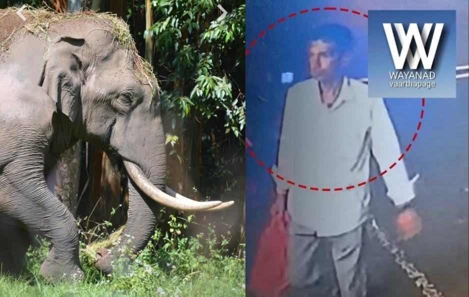 നീലഗിരിയിൽ കാട്ടാന ആക്രമണം ഒരാൾക്ക് ദാരുണാന്ത്യം