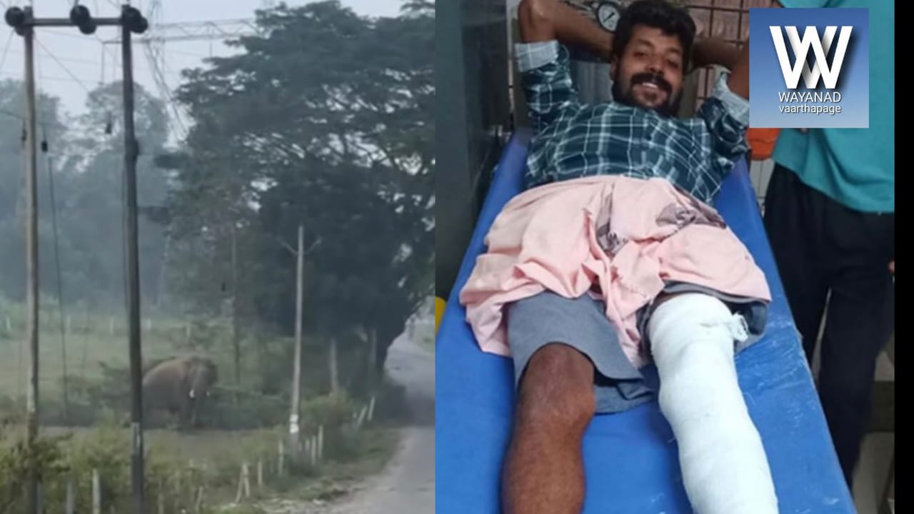 കാട്ടാനയുടെ ആക്രമണം യുവാവിന് പരിക്ക്