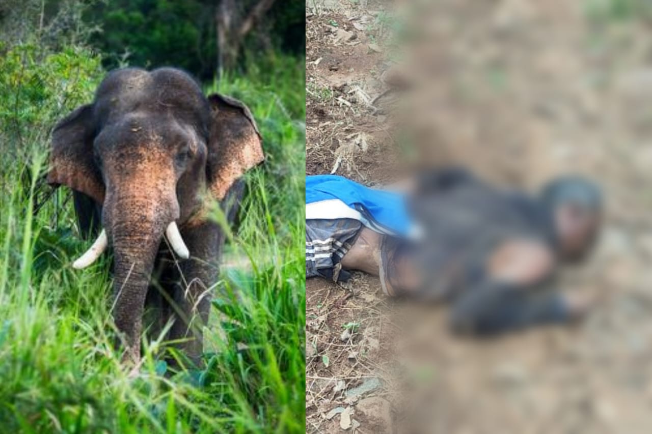 നിലമ്പൂരിൽ കാട്ടാന ആക്രമണം; ടാപ്പിംഗ് തൊഴിലാളിക്ക് ദാരുണാന്ത്യം