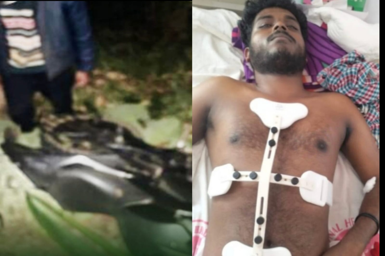 കാട്ടുപന്നി ബൈക്കിന് കുറുകെ ചാടി : ബൈക്ക് നിയന്ത്രണം വിട്ട് താഴ്ചയിലേക്ക് മറിഞ്ഞ് യുവാവിന് പരിക്ക്