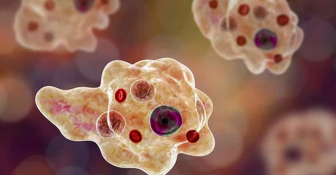 അമീബിക് മസ്തിഷ്ക ജ്വരം ബാധിച്ച് സംസ്ഥാനത്ത് ഒരാൾ കൂടി മരിച്ചു.