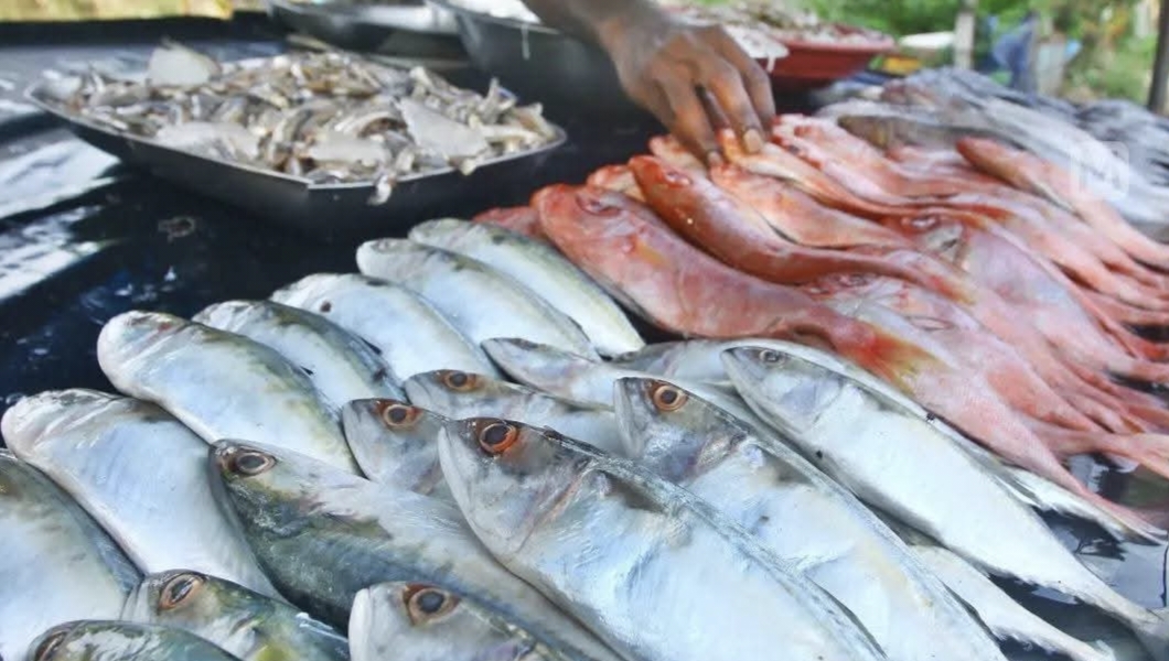 ചിക്കനു പിന്നാലെ കുതിച്ചു മത്സ്യവും ; വില വർദ്ധനയിൽ നടുവൊടിഞ്ഞു മലയാളി   