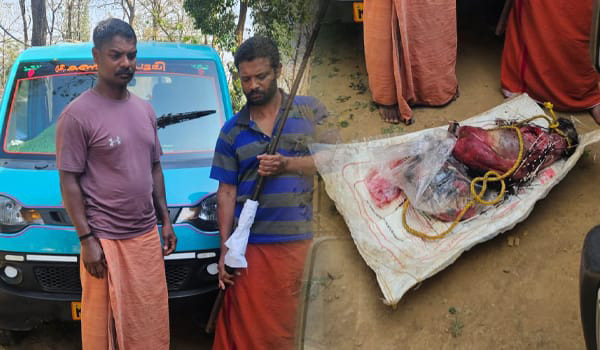 ബീനാച്ചി എസ്റ്റേറ്റിൽ മുള്ളൻപന്നിയെ വേട്ടയാടിയ സംഘത്തിലെ രണ്ട് പേരെ വനംവകുപ്പ് പിടികൂടി.