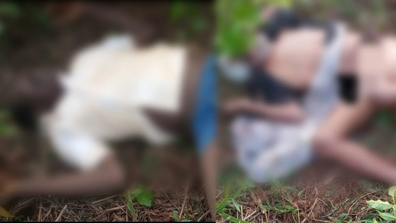 ഗൂഡല്ലൂരിൽ കാട്ടനാ ആക്രമണം; രണ്ട് പേർക്ക് ദാരുണാന്ത്യം