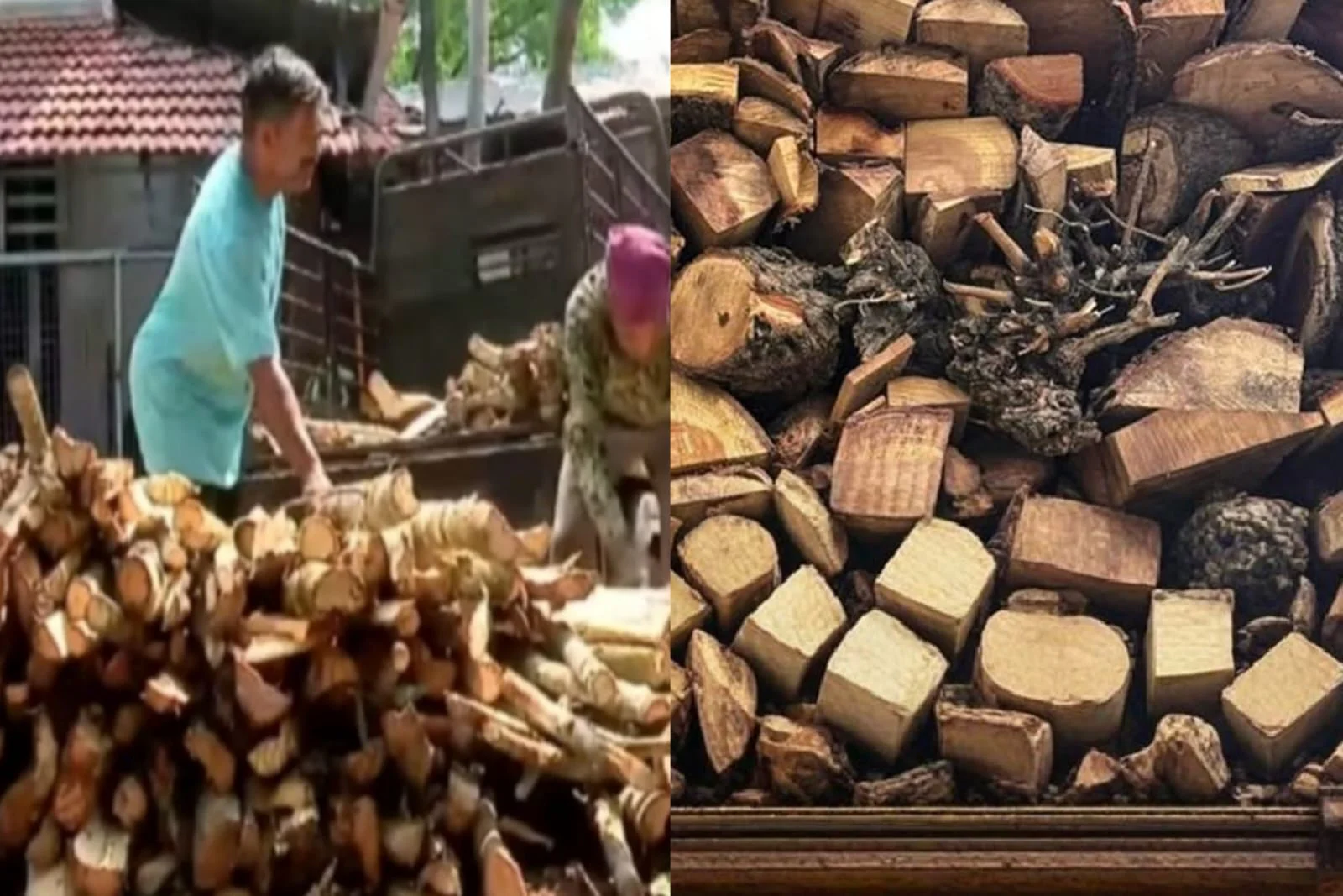 വാണിജ്യ സിലിണ്ടർ കിട്ടാതായതോടെ വിറകിന് ആവശ്യക്കാർ ഏറി
