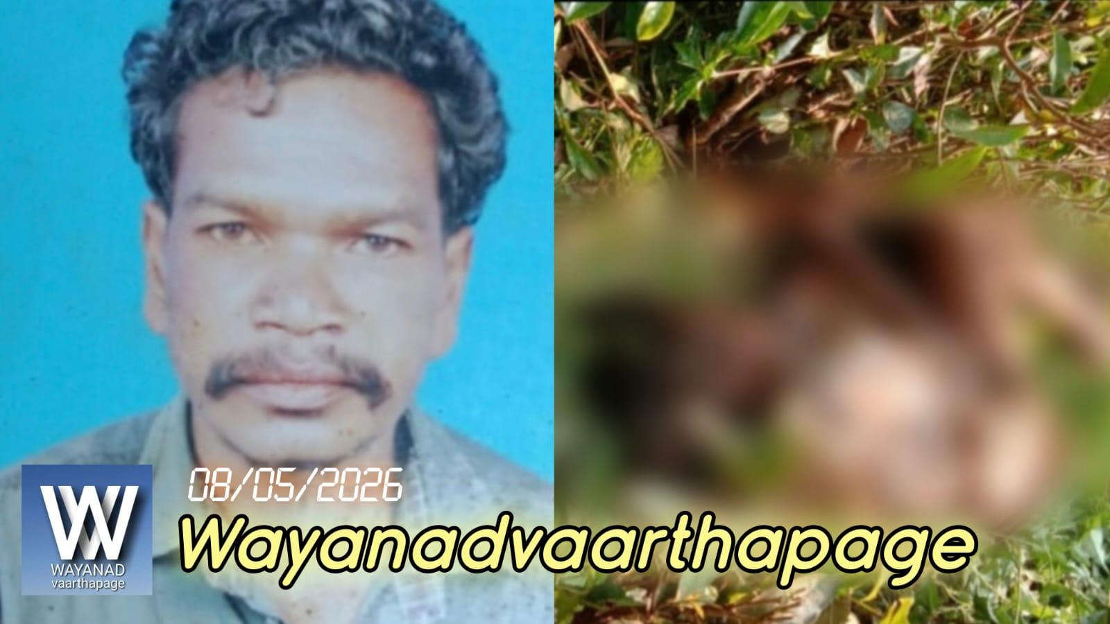 കാട്ടാനയുടെ ആക്രമണത്തിൽ ഒരാൾ കൊല്ലപ്പെട്ടു