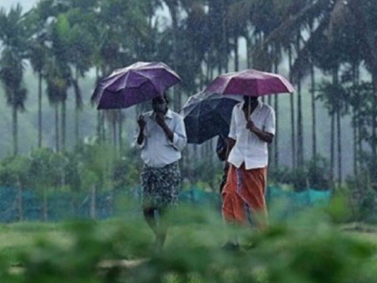 കേരളത്തിൽ വേനൽമഴ ശക്തമാകുന്നു;ഇന്ന് നാല് ജില്ലകളിൽ യെല്ലോ അലർട്ട്