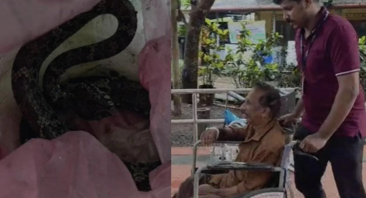 വാഴക്കുല വെട്ടുന്നതിനിടെ വയോധികന് പാമ്പ് കടിയേറ്റു, കടിച്ച പാമ്പുമായി ആശുപത്രിയിലെത്തി