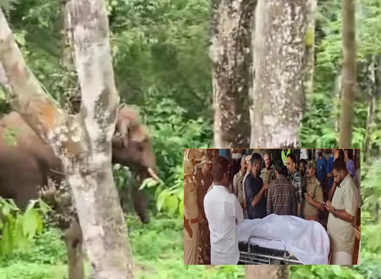 തിരുനെല്ലി കാട്ടികുളത്ത് കാട്ടാന ആക്രമണത്തിൽ പരുക്കേറ്റ് ചികിത്സയിലിരുന്നയാൾ മരിച്ചു