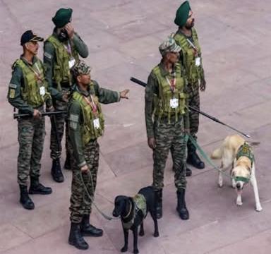 ഷഹസാദ് ഭട്ടി നെറ്റ്‌വർക്ക് തകർത്ത് സൈന്യം പിടിയിലായത് 253 ഭീകരർ കേരളത്തിലും അറസ്റ്റ്