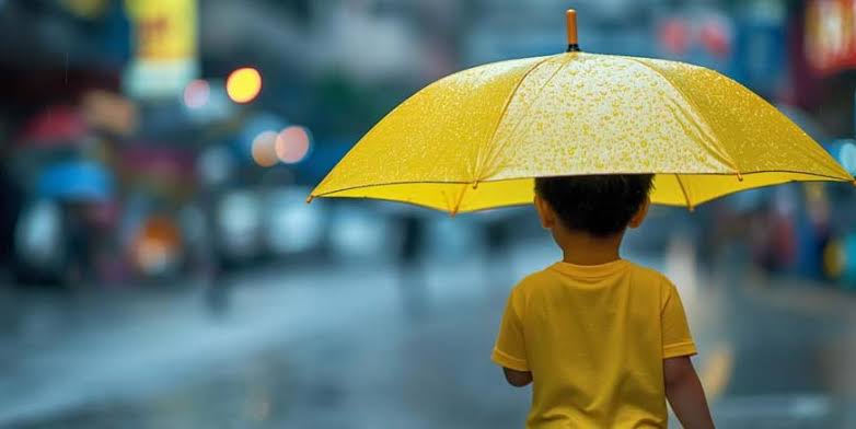 വയനാട് ജില്ലയിൽ ശക്തമായ മഴയ്ക്കും കാറ്റിനും സാധ്യത ജാഗ്രത നിർദേശം